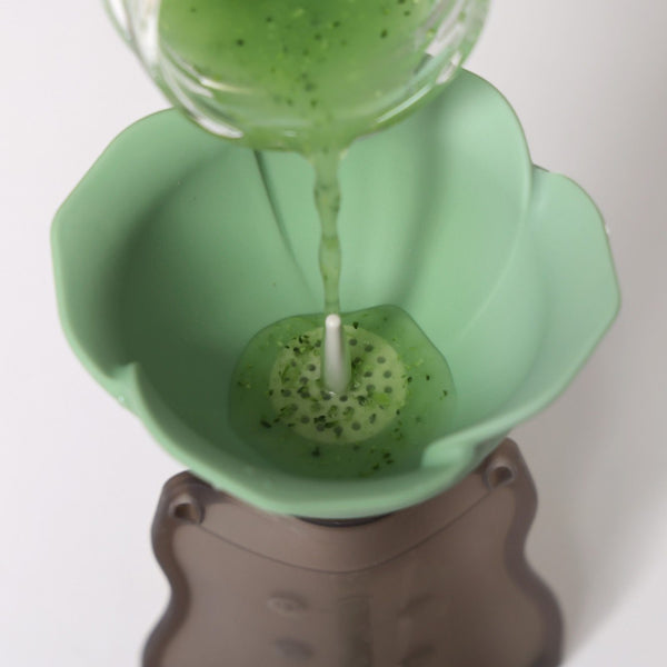 Haakaa Fill & Go Squeezy Pouch (2-pack) & Spring Green Flower Funnel Combo