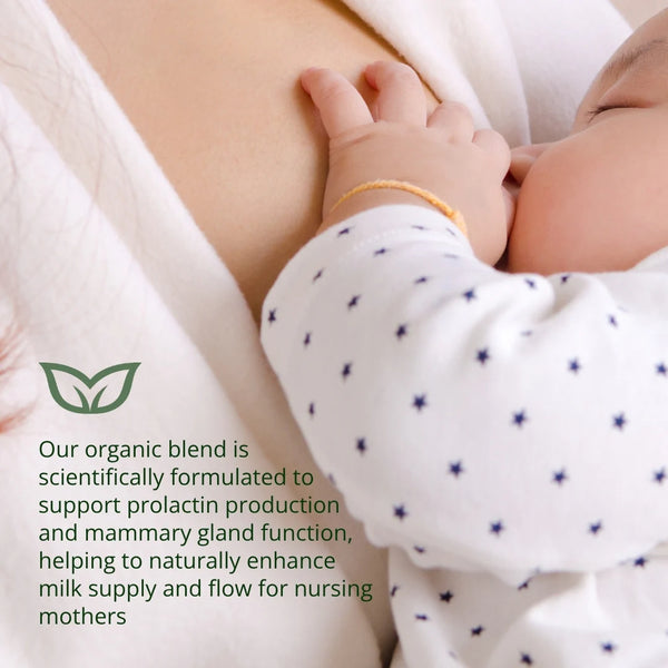 Myrtle & Maude Organic Breastfeeding Tea