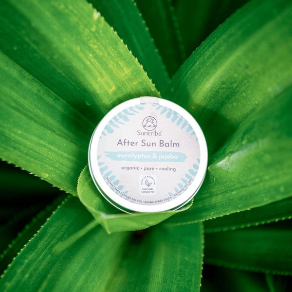 Suntribe Organic After Sun Balm Eucalyptus & Jojoba